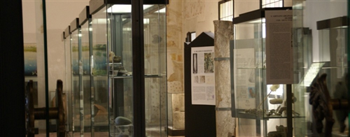 Museo Archeologico di Isola della Scala